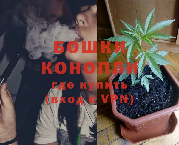 МДПВ Богородицк