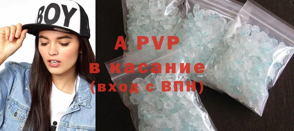 дмт Богданович