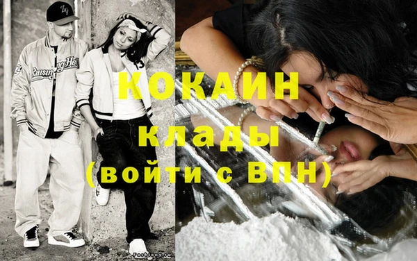 дмт Богданович