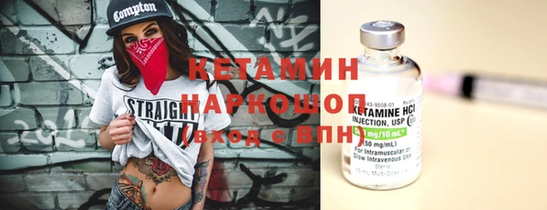 дмт Богданович