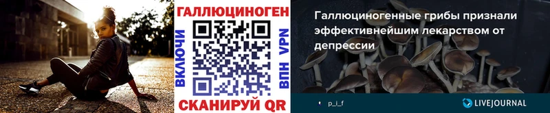 Псилоцибиновые грибы MAGIC MUSHROOMS  где можно купить наркотик  Барыш 